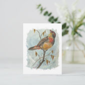 ヴィンテージ ポストカード (スタンド正面)