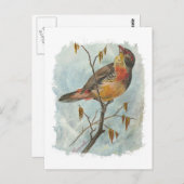 ヴィンテージ ポストカード (正面/裏面)