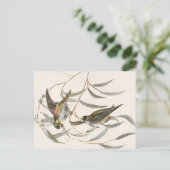 ヴィンテージ ポストカード (スタンド正面)