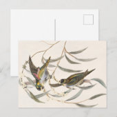 ヴィンテージ ポストカード (正面/裏面)