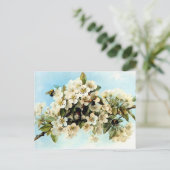 ヴィンテージ ポストカード (スタンド正面)