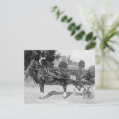 ヴィンテージ ポストカード (スタンド正面)