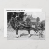 ヴィンテージ ポストカード (正面/裏面)