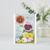 ヴィンテージ ポストカード (スタンド正面)