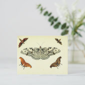 ヴィンテージ ポストカード (スタンド正面)