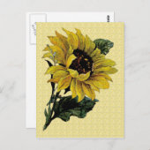 ヴィンテージ ポストカード (正面/裏面)