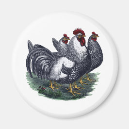 ヴィンテージ マグネット