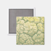 ヴィンテージ マグネット (正面/裏面)