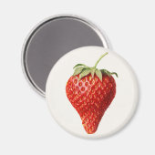 ヴィンテージ マグネット (正面/裏面)