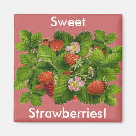 ヴィンテージ マグネット