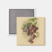 ヴィンテージ マグネット (正面/裏面)