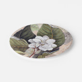 ヴィンテージ マグノリア サザン ガーデン バースデー パーティー ペーパープレート (アングル)