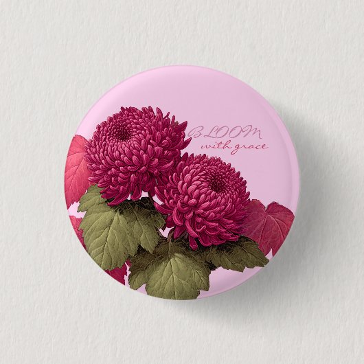 ヴィンテージ マゼンタ 菊の植物画 缶バッジ (正面)