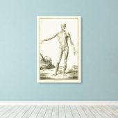 ヴィンテージ・マッスル、デニス・ディドロによる人体解剖学 キャンバスプリント (インサイチュ (ウッドフロア))