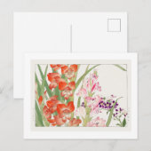 ヴィンテージ マツムシソウとヒメヒオウギ草花、浮世絵  ポストカード (正面/裏面)