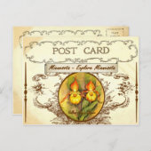 ヴィンテージ ミネソタ州 花のポストカード ポストカード (正面/裏面)