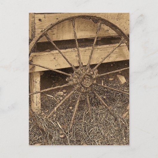 ヴィンテージ メイン ポストカード (正面)