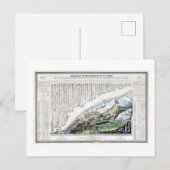 ヴィンテージ メイン 山岳と河川 コース マップ ポストカード (正面/裏面)