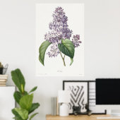 ヴィンテージ ライラックの植物画 スケッチアート ポスター (ホームオフィス)
