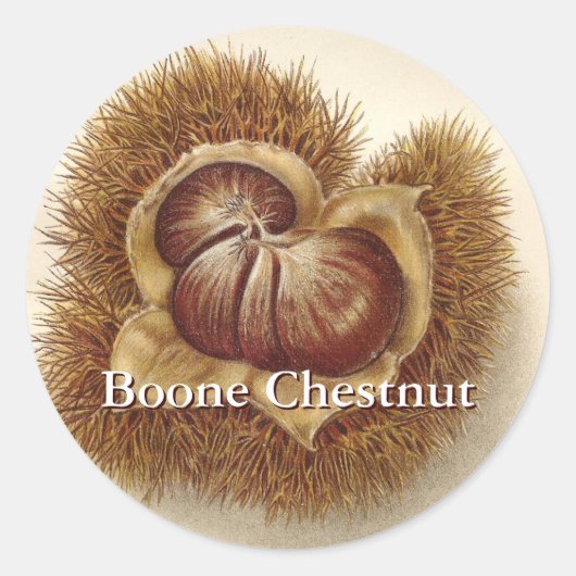 ヴィンテージ ラウンドシール (正面)