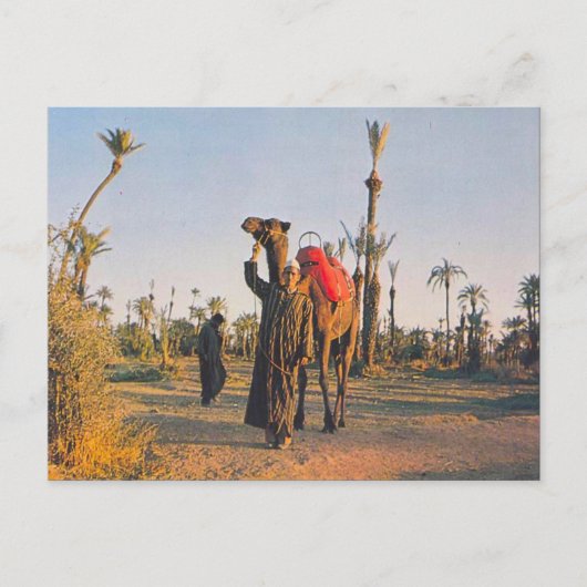 ヴィンテージ、ラクレス ポストカード (正面)