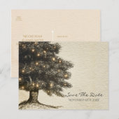 ヴィンテージ ラスティック ツリー & ライト ウェディング セーブ ザ デート 案内ポストカード (正面/裏面)