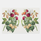 ヴィンテージ ラッピングペーパーシート (正面3)