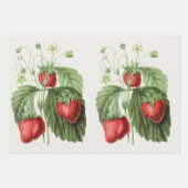 ヴィンテージ ラッピングペーパーシート (正面2)