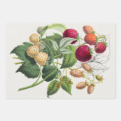 ヴィンテージ ラッピングペーパーシート (正面)