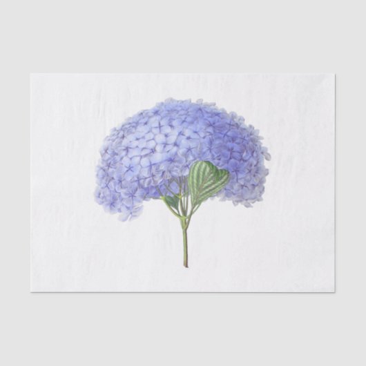 ヴィンテージ ラベンダー パープル アジサイ 花 フローラル 薄葉紙 (正面)