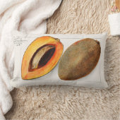 ヴィンテージ ランバークッション (ブランケット)