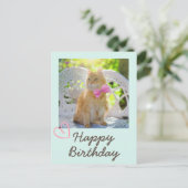 ヴィンテージ リボンの猫とハッピーバースデー ポストカード (スタンド正面)