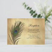 ヴィンテージ ルック ペコック フェザー レセプション 情報 カード (スタンド正面)