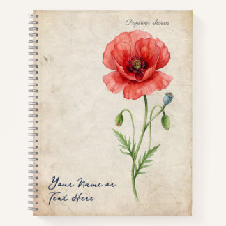 ヴィンテージ ルネサンス ヤブカブト Papaver rhoeas ノートブック