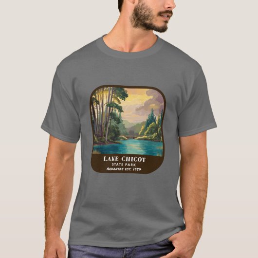 ヴィンテージ レイクチコット州立公園 アーカンソー州立公園 Tシャツ (正面)