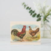 ヴィンテージ "レグホン+ニワトリ" ポストカード (スタンド正面)