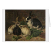 ヴィンテージ-レタスを食べているウサギ (正面横)