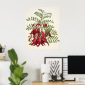 ヴィンテージ レッド カカベアクフラワー 植物画 ポスター (ホームオフィス)