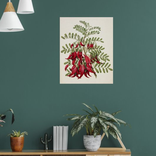 ヴィンテージ レッド カカベアクフラワー 植物画 ポスター (リビング1)