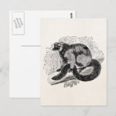 ヴィンテージ レムール 1800年代のレムール イラスト テンプレート ポストカード (正面/裏面)