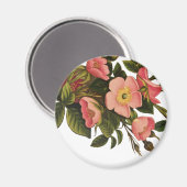 ヴィンテージ ローズ ビューティフル ピンク ボタニカル マグネット (正面/裏面)