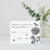 ヴィンテージ ローズ RSVP (スタンド正面)