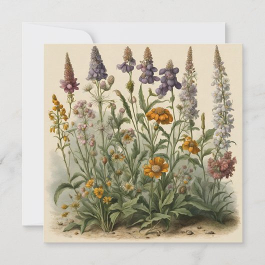 ヴィンテージ ワイルドフラワーズ カード (正面)