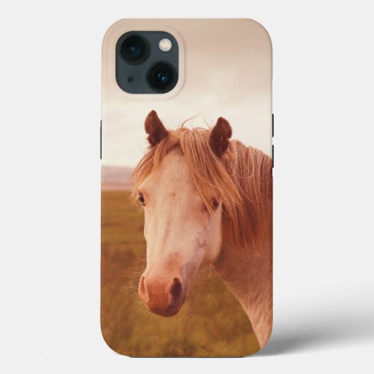 ヴィンテージ ワイルドホース Case-Mate iPhoneケース iPhone 13ケース (裏面)