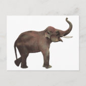 ヴィンテージ ワイルド アニマルズ、ラッキー アジアゾウ ポストカード (正面)