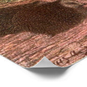 ヴィンテージ ワイルド アニマルズ、ルイス サージェントによるハリネズミ ポスター (角)