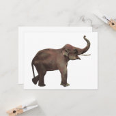 ヴィンテージ ワイルド アニマル, ラッキー アジアゾウ カード (正面/裏面インサイチュ)