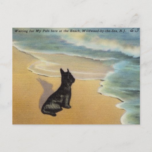 ヴィンテージ・ワイルド・バイ・ザ・シー(ニュージャージー) ポストカード (正面)