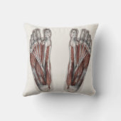 ヴィンテージ 人体解剖学 足跡 足病学 足 クッション (裏面)