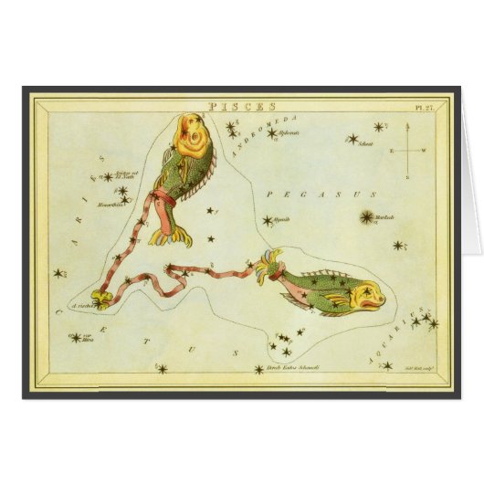 ヴィンテージ 十二星座 占星術 魚座 魚星図 (正面横)